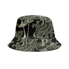 Weave Haeckel Lichenes Photobionten Bucket Hat by Cemarart