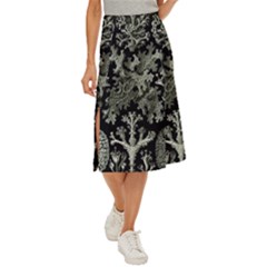 Weave Haeckel Lichenes Photobionten Midi Panel Skirt by Cemarart