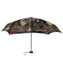 Braunschweig City Lower Saxony Mini Folding Umbrellas View3