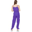 Ultra Violet Purple Sleeveless Tie Ankle Chiffon Jumpsuit View2