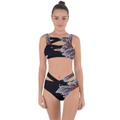 Math Formula Bandaged Up Bikini Set  by Bedest