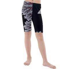 Silhouette Of Aurora Borealis Kids  Mid Length Swim Shorts by Bedest