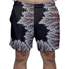 Silhouette Of Aurora Borealis Men s Shorts by Bedest