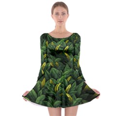 Banana leaves Long Sleeve Skater Dress