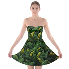 Banana Leaves Strapless Bra Top Dress by goljakoff