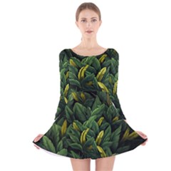 Banana leaves Long Sleeve Velvet Skater Dress