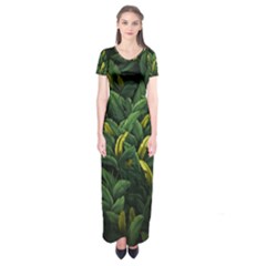 Banana Leaves Short Sleeve Maxi Dress by goljakoff