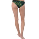 Banana leaves Ring Detail Bikini Bottoms View2