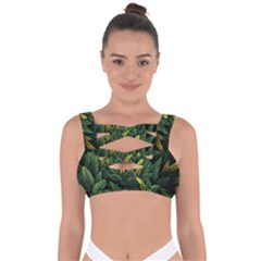 Banana leaves Bandaged Up Bikini Top