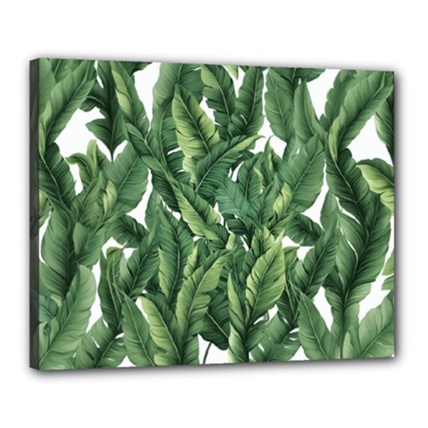 Green Banana Leaves Canvas 20  X 16  (stretched) by goljakoff