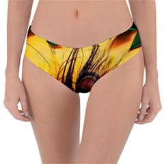 City Light Sky Landmark Painting Reversible Classic Bikini Bottoms by Cemarart