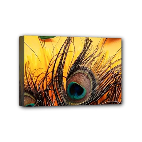 Peacock Feather Native Mini Canvas 6  X 4  (stretched) by Cemarart