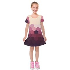 Pink Roses Flowers Love Nature Kids  Short Sleeve Velvet Dress by Grandong