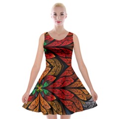 Fractals, Floral Ornaments, Rings Velvet Skater Dress by nateshop