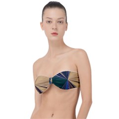 Leaves Plant Foliage Green Classic Bandeau Bikini Top  by Cemarart