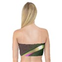 Flower Patterns Pattern Beige Green Bandeau Top View2