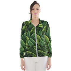 Green Leaves Women s Windbreaker