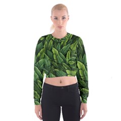 Green Leaves Cropped Sweatshirt