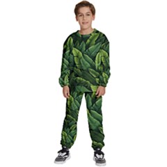 Green Leaves Kids  Sweatshirt Set