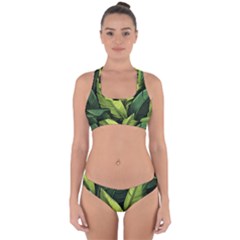 Banana Leaves Pattern Cross Back Hipster Bikini Set by goljakoff