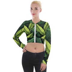 Banana Leaves Pattern Long Sleeve Cropped Velvet Jacket by goljakoff