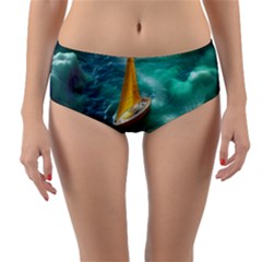 Lion King Of The Jungle Nature Reversible Mid-waist Bikini Bottoms by Cemarart