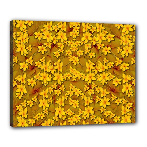 Blooming Flowers Of Lotus Paradise Canvas 20  X 16  (stretched) by pepitasart