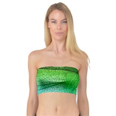 3d Leaves Texture Sheet Blue Green Bandeau Top by Cemarart