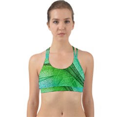 3d Leaves Texture Sheet Blue Green Back Web Sports Bra by Cemarart