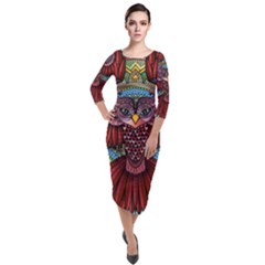 Colorful Owl Art Red Owl Quarter Sleeve Midi Velour Bodycon Dress by Bedest