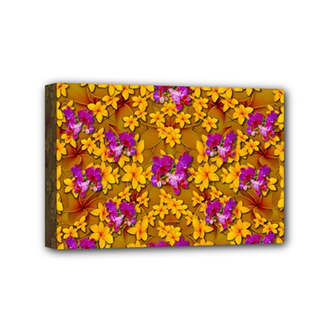 Blooming Flowers Of Orchid Paradise Mini Canvas 6  X 4  (stretched) by pepitasart