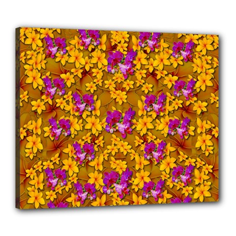 Blooming Flowers Of Orchid Paradise Canvas 24  X 20  (stretched) by pepitasart