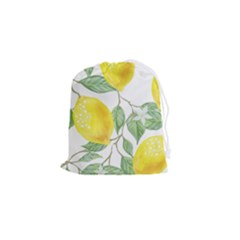 Fruit-2310212 Drawstring Pouch (small) by lipli