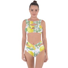 Fruit-2310212 Bandaged Up Bikini Set  by lipli