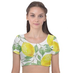 Fruit-2310212 Velvet Short Sleeve Crop Top  by lipli