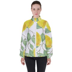 Fruit-2310212 Women s High Neck Windbreaker by lipli