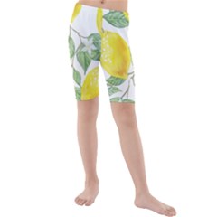 Fruit-2310212 Kids  Mid Length Swim Shorts by lipli