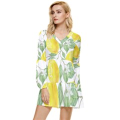 Fruit-2310212 Tiered Long Sleeve Mini Dress by lipli