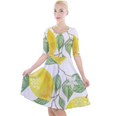 Fruit-2310212 Quarter Sleeve A-line Dress by lipli