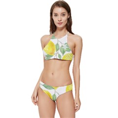 Fruit-2310212 Banded Triangle Bikini Set