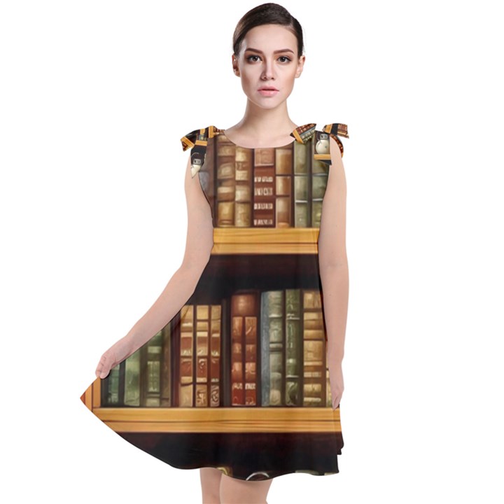 Room Interior Library Books Bookshelves Reading Literature Study Fiction Old Manor Book Nook Reading Tie Up Tunic Dress