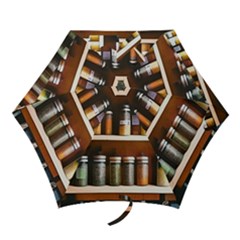 Alcohol Apothecary Book Cover Booze Bottles Gothic Magic Medicine Oils Ornate Pharmacy Mini Folding Umbrellas by Grandong