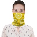 Lemon Fruits Slice Seamless Pattern Face Covering Bandana (Adult) View1