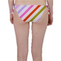 Lines Geometric Background Bikini Bottoms View2