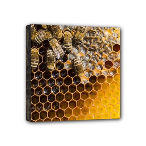 Honeycomb With Bees Mini Canvas 4  X 4  (stretched) by Apen