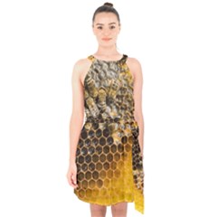 Honeycomb With Bees Halter Collar Waist Tie Chiffon Dress by Apen