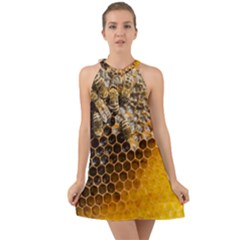 Honeycomb With Bees Halter Tie Back Chiffon Dress by Apen