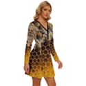 Honeycomb With Bees Long Sleeve Deep V Mini Dress  View3