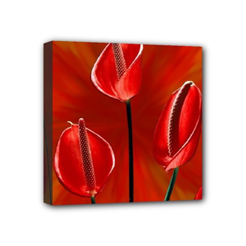 Flowers Red Mini Canvas 4  X 4  (stretched) by Askadina