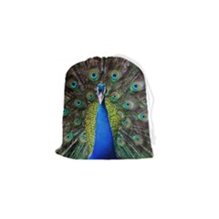 Peacock Bird Feathers Pheasant Nature Animal Texture Pattern Drawstring Pouch (small)